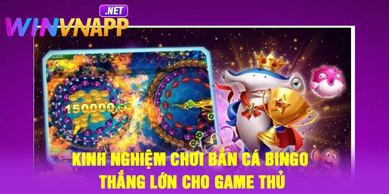 Kinh nghiệm chơi Bắn Cá Bingo thắng lớn cho game thủ