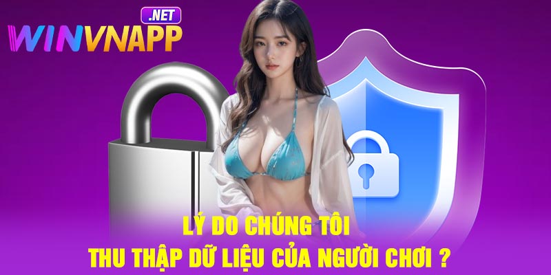 Lý do chúng tôi thu thập dữ liệu của người chơi ?