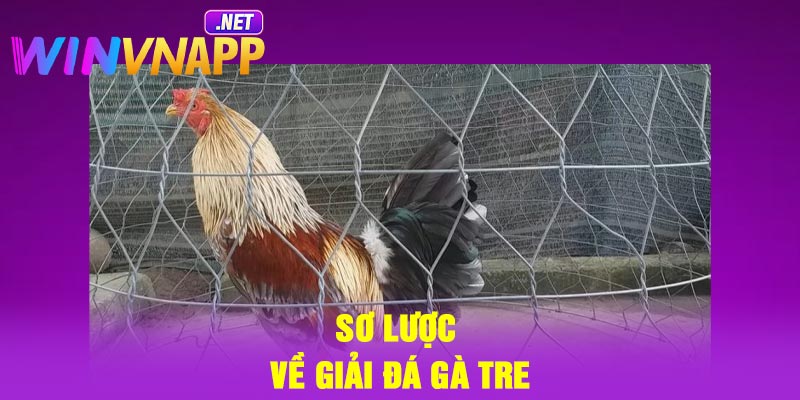 Sơ lược về giải đá gà tre
